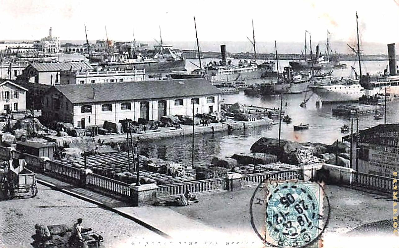 Alger - Port - 1905.jpg